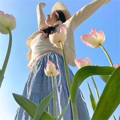 安德鲁克里斯和狮子